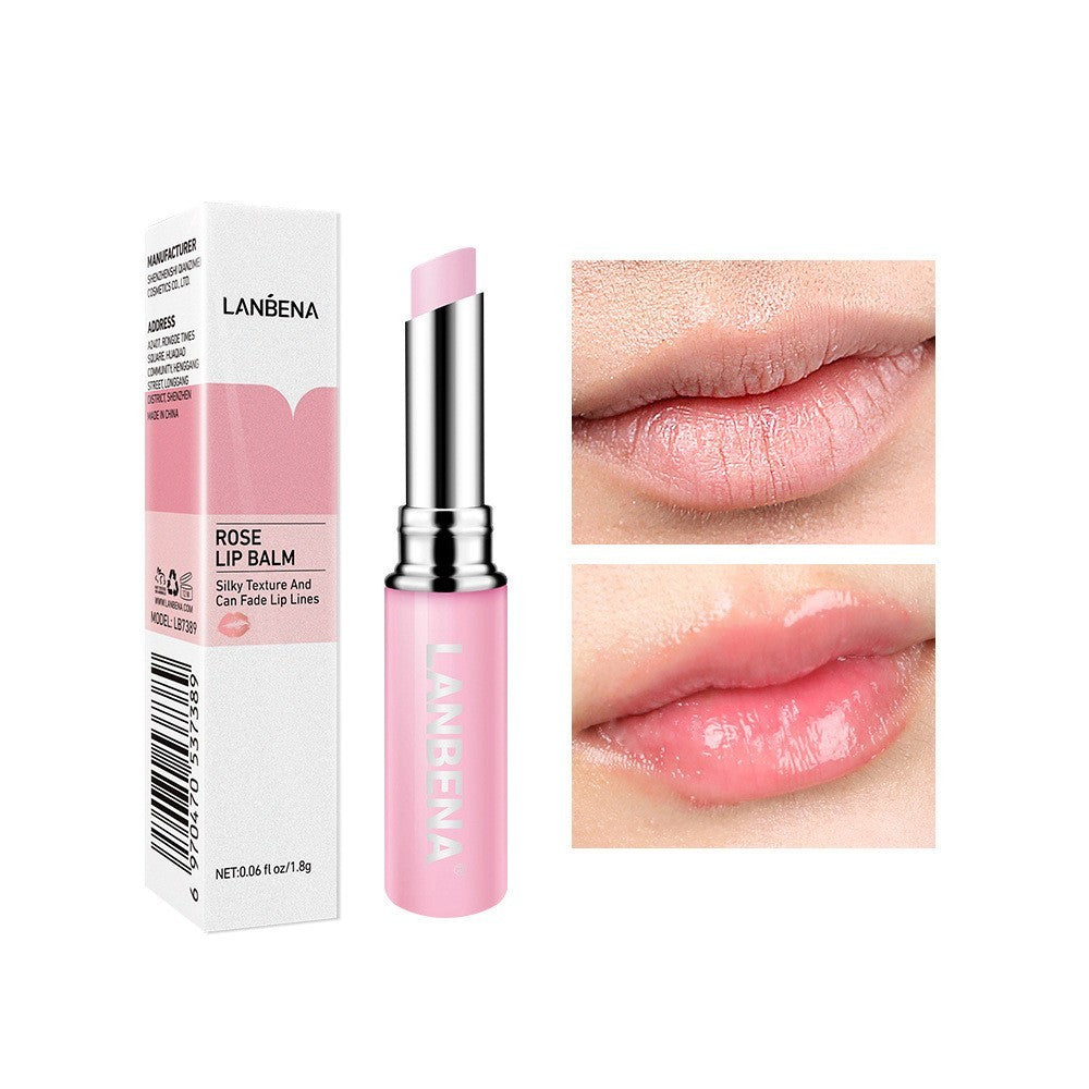 Hyaluronic Acid Lipstick | Hydrating & Long-Lasting Color